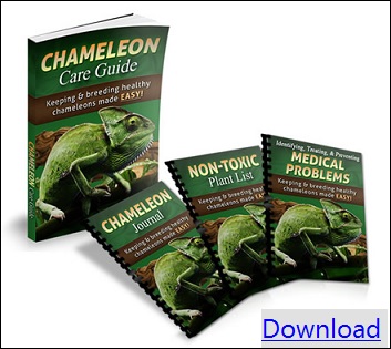 chameleon care guide download