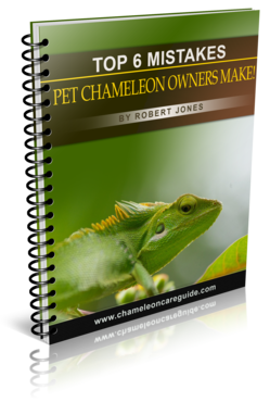 free chameleon guide